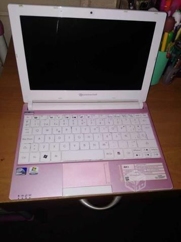 Netbook rosado
