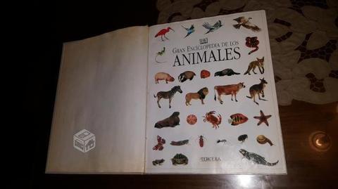 gran enciclopedia de los animales
