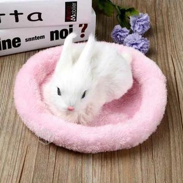 1 pieza caliente Cute conejillo de indias cama