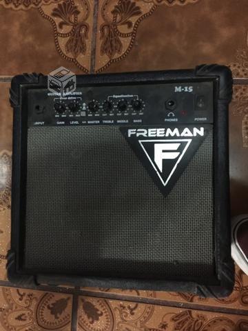 Amplificador Freeman
