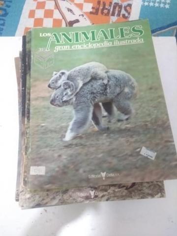 Revistas animales