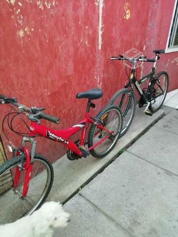 Dos bicicletas 24 y 26