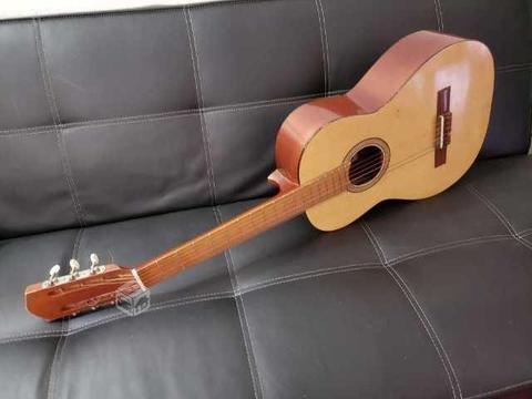 Guitarra + funda