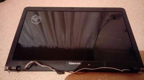 Pantalla Notebook Toshiba