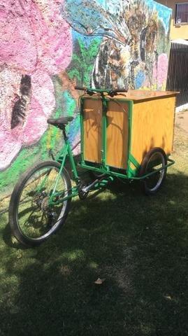Bicicleta ( triciclo )