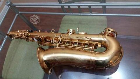 Saxofón alto ideal Music