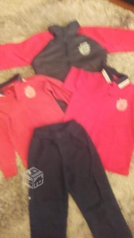 Buzo poleras y para colegio aconcagua