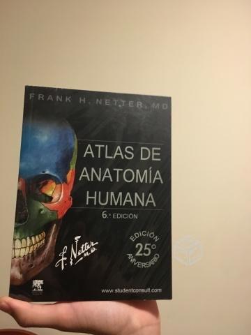 Netter, atlas de anatomía 6ta edición