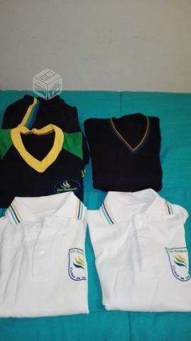 uniforme Liceo Bicentenario Valdivia