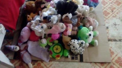 Lote peluches