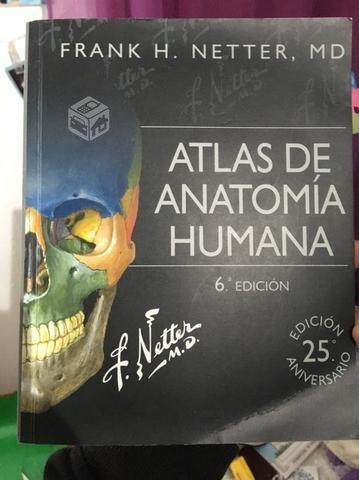 Netter Anatomia libro de bolsillo