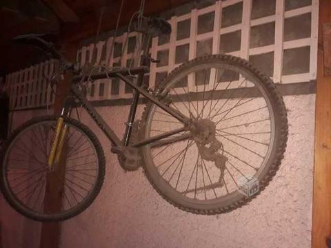 Bicicleta por no uso asiento malo