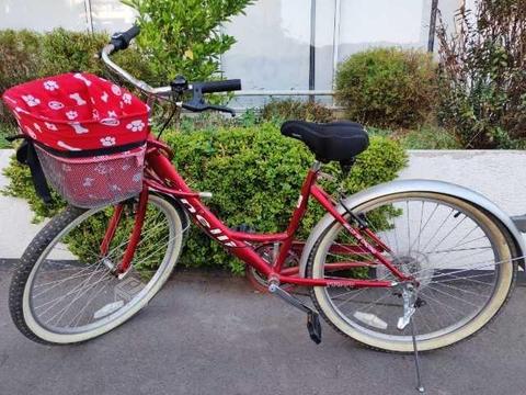 Bicicleta Mujer Canasto