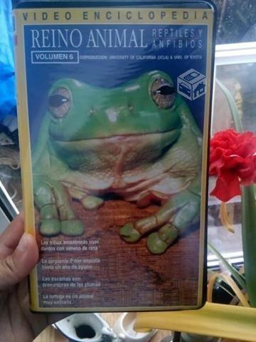 pelicula vhs del reino animal