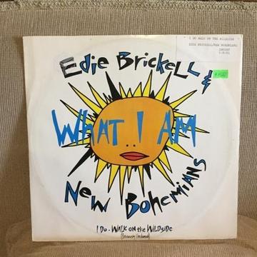 Edie Brickell & New Bohemians ; What I Am