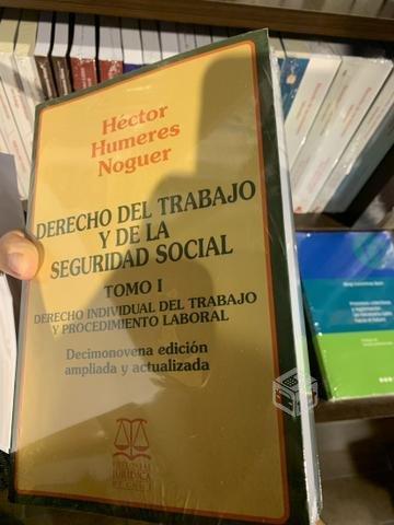 Libro Derecho del trabajo y de la seguridad social