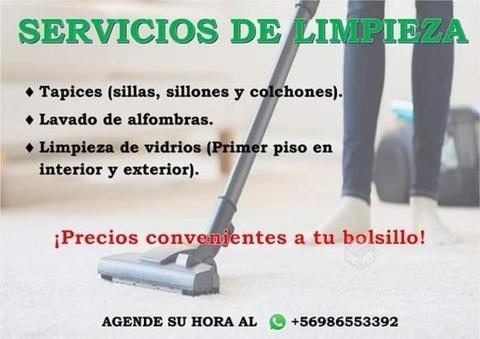 Servicios de limpieza