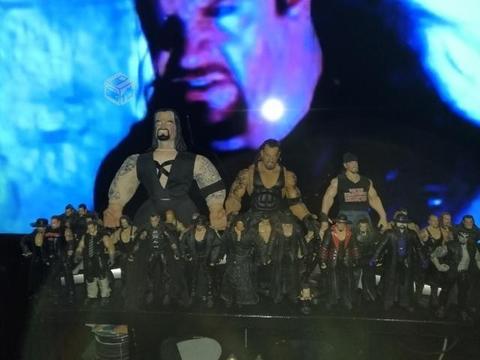 WWE Undertaker Coleccion Lote