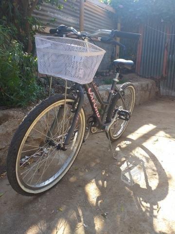 Bicicleta Oxford mujer aro 24