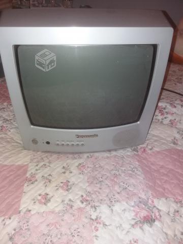 Televisor