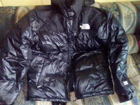 Chaqueta the north face