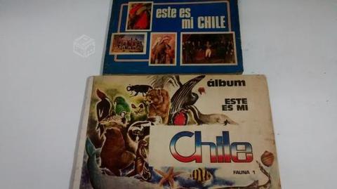 Album-solo laminas-este chile-año 1970