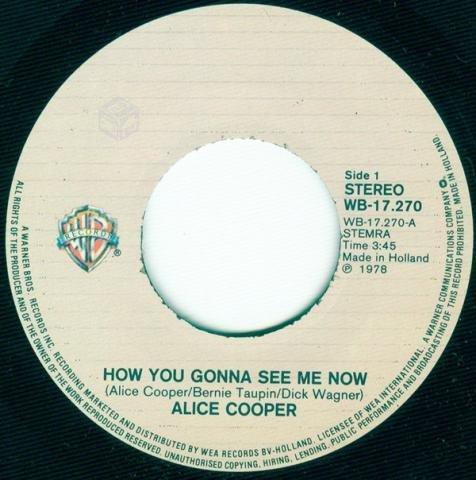 Vinilo Single Alice Cooper 