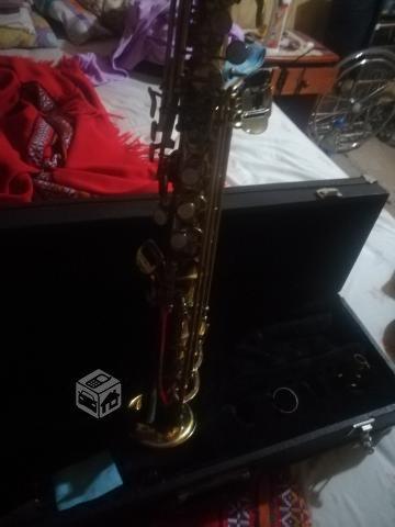 Saxo Soprano parrot sib