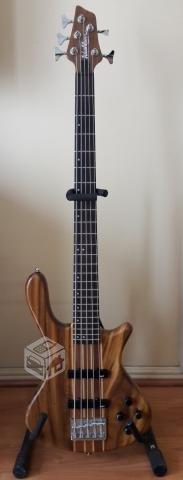 Washburn Taurus T-25 + Funda gruesa original