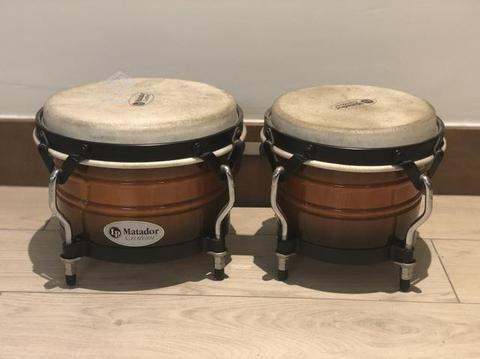 Bongo LP modelo Matador