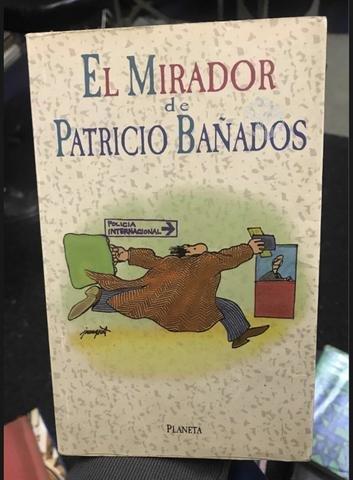 El mirador de Patricio Bañados