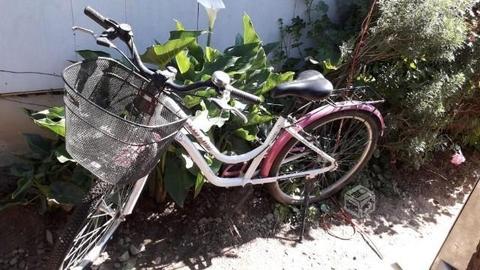 Bicicleta femenina