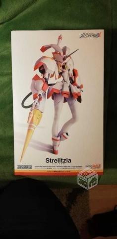 MODEROIR Strelitzia