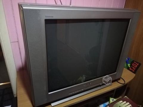 Televisor Sony 21 Pulgadas