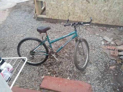 Bicicleta Bianchi rin 26