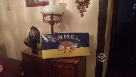Luminoso camel