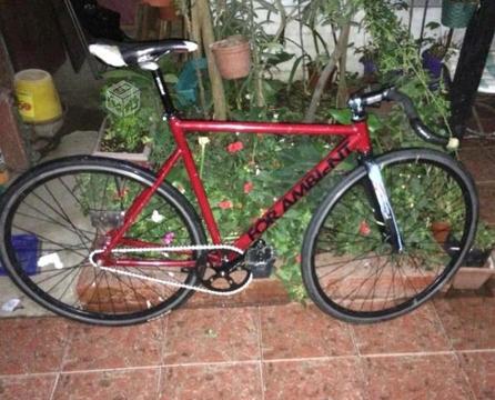 Bicicleta piñón fijo - fixie