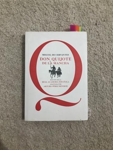 Don Quijote de la Mancha edición RAE