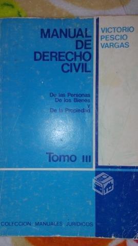 Libro Derecho Civil