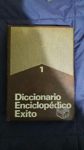 Diccionario enciclopedico exito 1