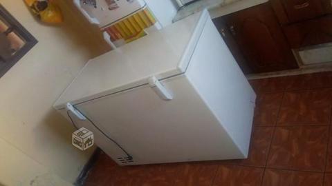 Congeladora Electrolux 300 litros