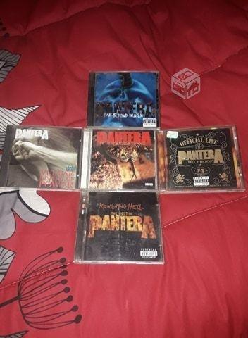 Coleccion cd pantera