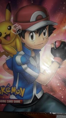 Coleccionador pokemon