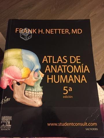Atlas Anatomía Humana Netter 5ta edición original