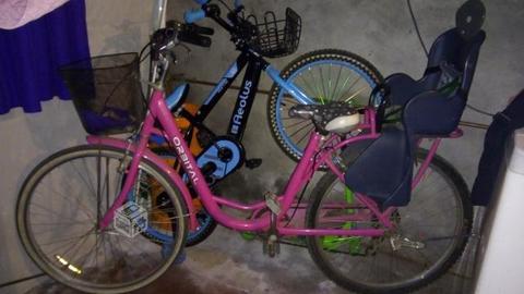 Bicicleta de paseo con silla