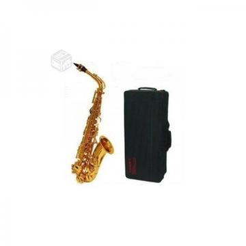 Saxofón alto sa50 etinger