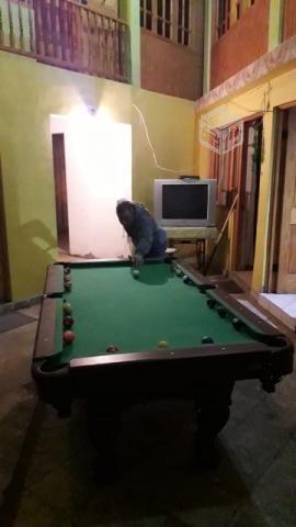 mesa de pool